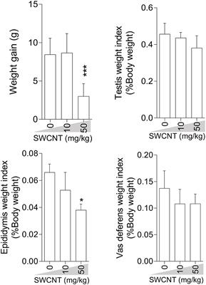 Spermatotoxic Effects of Single-Walled and Multi-Walled Carbon Nanotubes on Male Mice